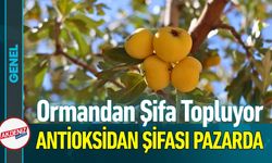 Toplaması Zahmetli, Faydası Büyük