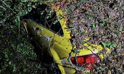 Mersin'de taksi, ağacın altında kaldı