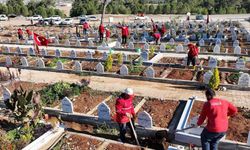 Mezarlıkta 1500 Çam Fidanı: Kapsamlı Peyzaj Çalışması