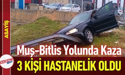 Muş-Bitlis Kara Yolunda Kaza: 3 Kişi Yaralı
