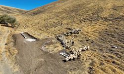 Niğde’de meralara yeni hayvan içme suyu alanı kazandırıldı