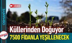 Osmaniye Küllerinden Doğuyor: 45 Hektar Yeşillenecek