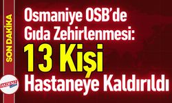 Osmaniye OSB’de Gıda Zehirlenmesi: 13 İşçi Etkilendi