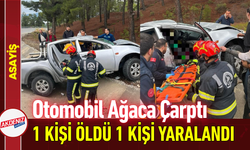 Otomobil Ağaca Çarptı: 1 Kişi Öldü 1 Kişi Yaralandı!
