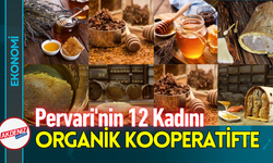 Pervari'nin 12 Kadını, Organik Ürünler Kooperatifinde!