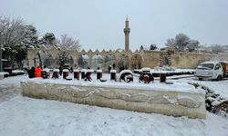 Şanlıurfa’da Tarihi Balıklıgöl Beyaza Büründü