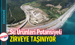Su Ürünleri Potansiyeli Zirveye Taşınıyor!