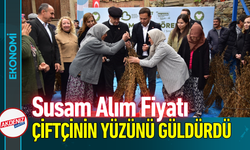 Susam Alım Fiyatı, Çiftçinin Yüzünü Güldürdü!