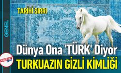 Türk Mavisi: Çiniden Efsaneye, Koruyucu Renk