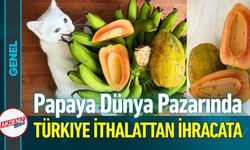 Türkiye Papaya İthalattan İhracatçı Konumuna Yükseldi