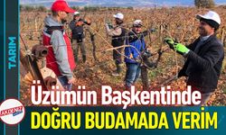 Üzümün Başkentinde Doğru Budama Seferberliği