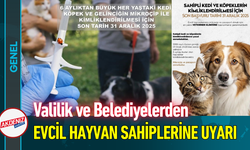 Valilik ve Belediyelerden Evcil Hayvan Sahiplerine Uyarı!