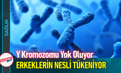 Y Kromozomu Tarih Oluyor, Erkeklerin Nesli Tükeniyor!