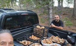 Yağışlar Sonrası Kamyonet Dolusu Cintar Toplandı