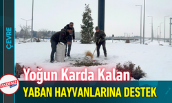 Yoğun Karda Kalan Yaban Hayvanlarına Destek!