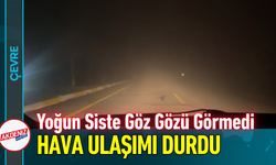 Yoğun Siste Göz Gözü Görmedi, Hava Ulaşımı Durdu!