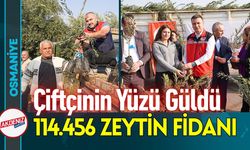 Osmaniye'de 2025'de 114.456 Zeytin Fidanı Dağıtıldı
