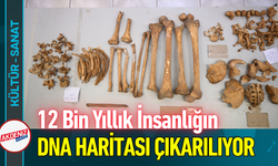12 Bin Yıllık İnsanlığın DNA Haritası Çıkarılıyor!