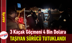 3 Kaçak Göçmeni 4 Bin Dolara Taşıyan Sürücü Tutuklandı!