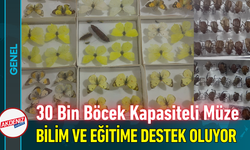 30 Bin Böcek Kapasiteli Müze Bilim ve Eğitime Destek Oluyor!