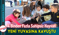 4 Binden Fazla Sahipsiz Hayvan Yeni Yuvasına Kavuştu!