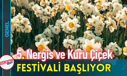 5. Nergis ve Kuru Çiçek Festivali Başlıyor!