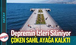 Depremin İzleri Siliniyor: Çöken Sahil Ayağa Kalktı