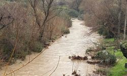 Osmaniye Düziçi'nde Sabun Çayı 3 Yıl Sonra Yeniden Coştu!