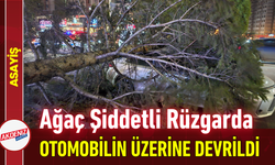 Ağaç Şiddetli Rüzgarda Otomobilin Üzerine Devrildi!