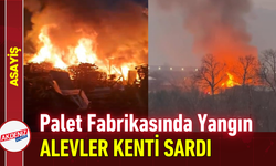 Ahşap Palet Fabrikasında Yangın: Alevler Kenti Sardı!