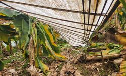 Anamur ve Aydıncık’ta Seralar Çöktü, Ürünler Gitti