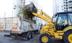 Antalya'da 233 Kişi ve İşletmeye Milyonluk Para Cezası