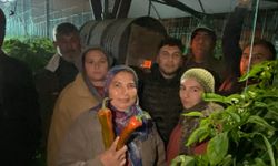 Antalyalı Çiftçinin Soba Başındaki Don İle Mücadelesi