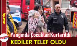 Yangında Çocuklar Kurtarıldı, Kediler Telef Oldu!