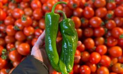 Batı Akdeniz’in İhracat Lideri İlk Kez Biber Oldu!