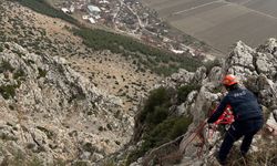 Bucak'ta Dağda Mahsur Kalan Keçiye AFAD Operasyonu