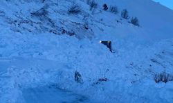 Çığ Bölgesinde Risk Büyüyor: Arama Çalışmalarını Askıya Aldı