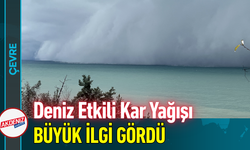 Deniz Etkili Kar Yağışı Büyük İlgi Gördü!