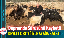 Depremde Sürüsünü Kaybetti Devlet Desteğiyle Ayağa Kalktı!