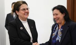 Derya Yanık, Avrupa Parlamentosu İle İnsan Hakları Görüşmesi Gerçekleştirdi!