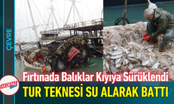 Fırtınada Balıklar Kıyıya Sürüklendi, Tur Teknesi Su Alarak Battı!
