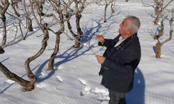 Gaziantep'te Kar Bereketi: 'Yeşil Altın'da Var Yılı Müjdesi