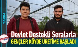 Genç Çiftçiler Devlet Destekli Seralarla Üretime Başladı