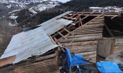 Giresun'da fırtınada seralar ve yayla evleri hasar gördü