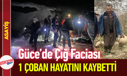 Güce’de Çığ Faciası: 1 Çoban Hayatını Kaybetti!