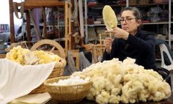 “Hatay Sarısı” Irkı İpek Böcekçiliğine Anlamlı Ödül!