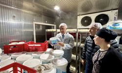 Hatay'da Süt Tesislerine Sıkı Denetim: Hijyen Ön Planda