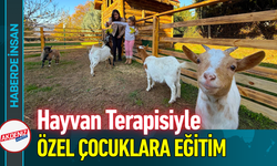 Hayvan Terapisiyle Özel Çocuklara Eğitim!
