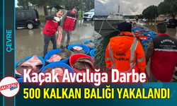 Kaçak Avcılığa Darbe: 500 Kalkan Balığı Yakalandı!