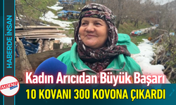 Kadın Arıcıdan Büyük Başarı: 10 Kovanı 300 Kovona Çıkardı!